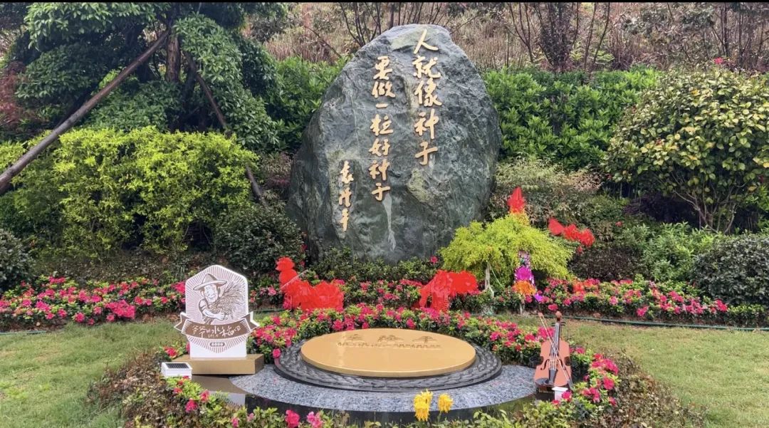 禾下乘涼夢(mèng)，一稻一人生 我們永遠(yuǎn)懷念袁爺爺 #安全用電你我湘聯(lián)
