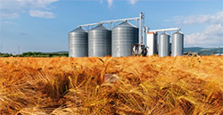 MVE-SS食品行業專用不銹鋼振動電機